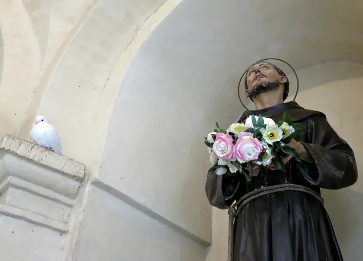 San Francesco delle Tortorelle